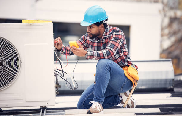 Best Licensed Electrician  in Mount Plymouth, FL