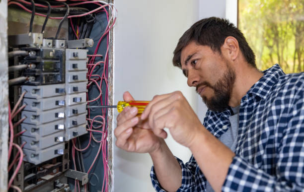 Best Ceiling Fan Installation Electrician  in Mount Plymouth, FL